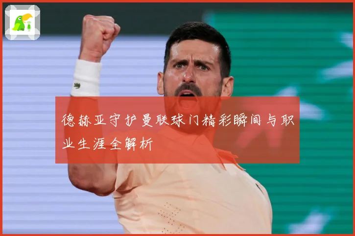 德赫亚守护曼联球门精彩瞬间与职业生涯全解析